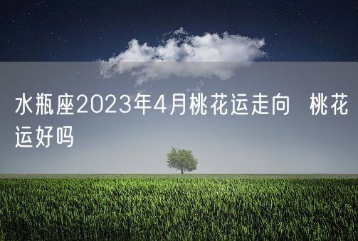 水瓶座2023年4月桃花运走向  桃花运好吗(图1)