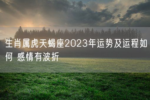 生肖属虎天蝎座2023年运势及运程如何 感情有波折(图1)