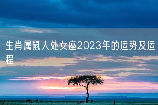 生肖属鼠人处女座2023年的运势及运程(图1)