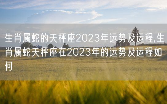 生肖属蛇的天枰座2023年运势及运程,生肖属蛇天秤座在2023年的运势及运程如何(图1)