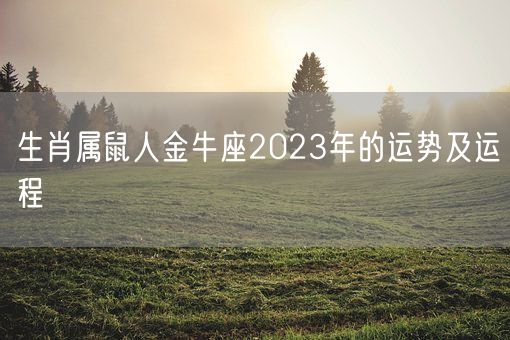 生肖属鼠人金牛座2023年的运势及运程(图1)