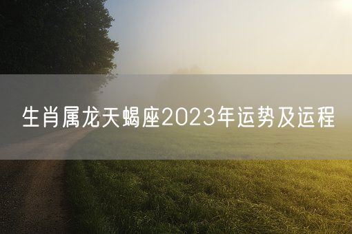 生肖属龙天蝎座2023年运势及运程(图1)