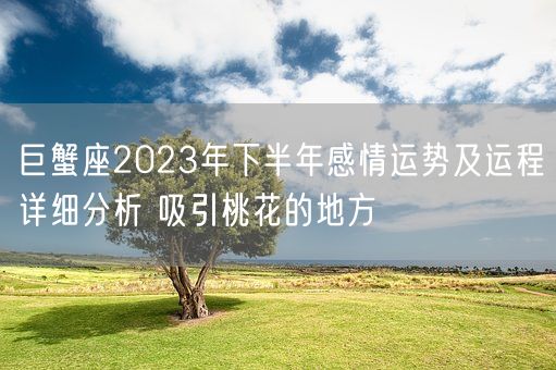 巨蟹座2023年下半年感情运势及运程详细分析 吸引桃花的地方(图1)