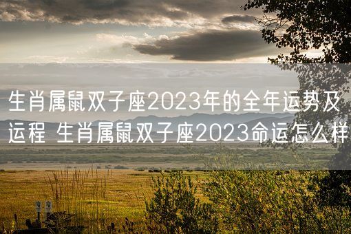 生肖属鼠双子座2023年的全年运势及运程 生肖属鼠双子座2023命运怎么样(图1)