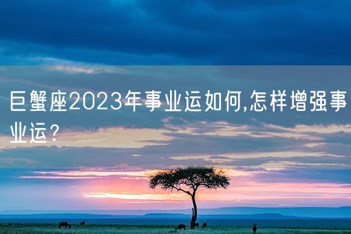 巨蟹座2023年事业运如何,怎样增强事业运？(图1)