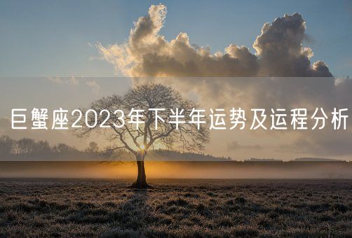 巨蟹座2023年下半年运势及运程分析(图1)