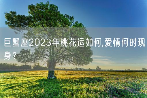 巨蟹座2023年桃花运如何,爱情何时现身？(图1)