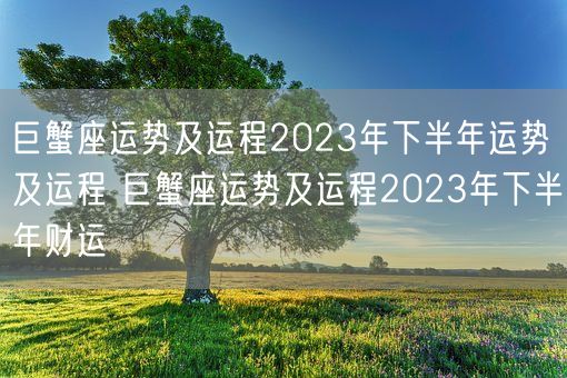 巨蟹座运势及运程2023年下半年运势及运程 巨蟹座运势及运程2023年下半年财运(图1)