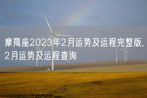 摩羯座2023年2月运势及运程完整版,2月运势及运程查询(图1)