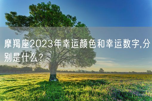 摩羯座2023年幸运颜色和幸运数字,分别是什么？(图1)