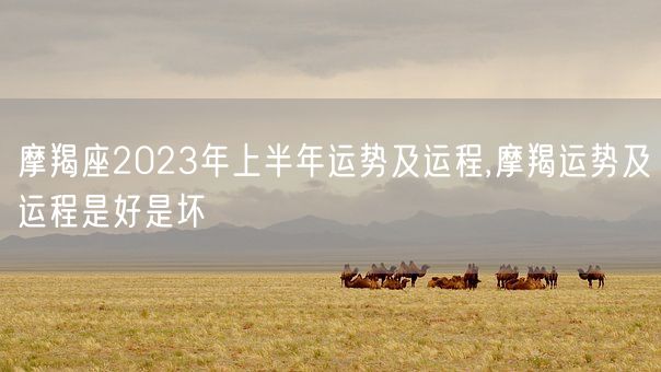 摩羯座2023年上半年运势及运程,摩羯运势及运程是好是坏(图1)