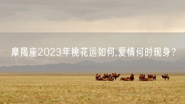 摩羯座2023年桃花运如何,爱情何时现身？(图1)