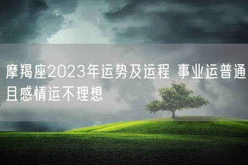 摩羯座2023年运势及运程 事业运普通且感情运不理想(图1)