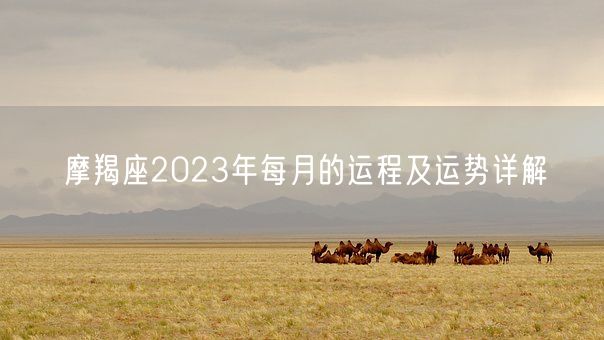 摩羯座2023年每月的运程及运势详解(图1)