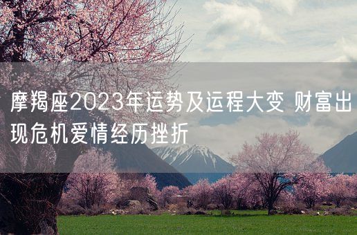 摩羯座2023年运势及运程大变 财富出现危机爱情经历挫折(图1)