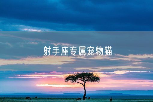射手座专属宠物猫(图1)