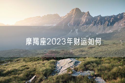 摩羯座2023年财运如何(图1)