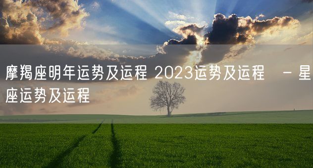 摩羯座明年运势及运程 2023运势及运程   – 星座运势及运程(图1)