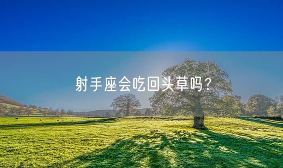 射手座会吃回头草吗？(图1)