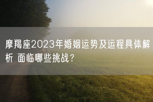 摩羯座2023年婚姻运势及运程具体解析 面临哪些挑战？(图1)