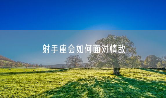 射手座会如何面对情敌(图1)