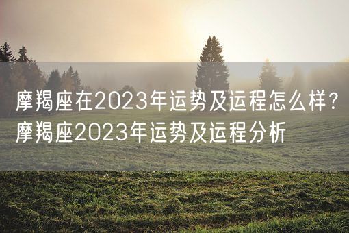 摩羯座在2023年运势及运程怎么样？摩羯座2023年运势及运程分析(图1)