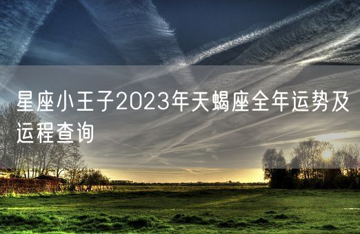 星座小王子2023年天蝎座全年运势及运程查询(图1)