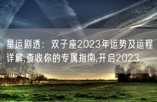 星运剧透：双子座2023年运势及运程详解,查收你的专属指南,开启2023(图1)