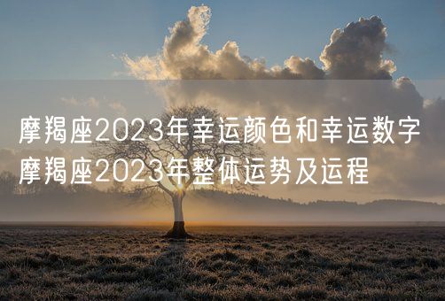 摩羯座2023年幸运颜色和幸运数字 摩羯座2023年整体运势及运程 (图1)