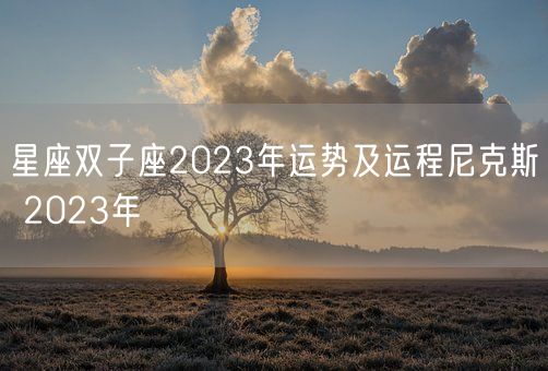 星座双子座2023年运势及运程尼克斯 2023年(图1)