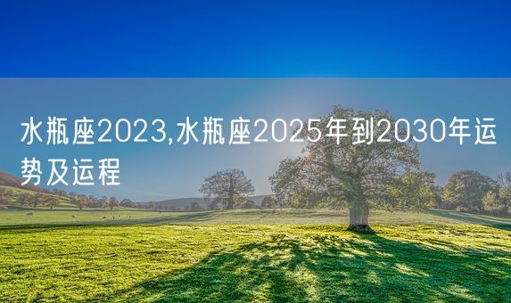 水瓶座2023,水瓶座2025年到2030年运势及运程(图1)