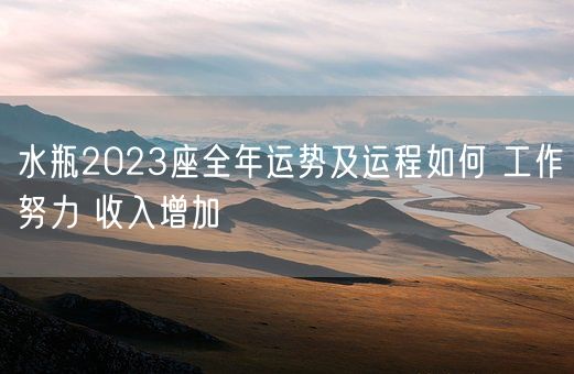 水瓶2023座全年运势及运程如何 工作努力 收入增加(图1)