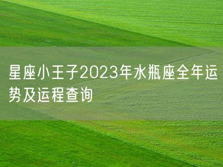 星座小王子2023年水瓶座全年运势及运程查询(图1)