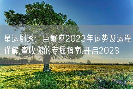 星运剧透：巨蟹座2023年运势及运程详解,查收你的专属指南,开启2023(图1)