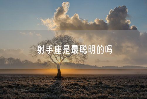 射手座是最聪明的吗(图1)