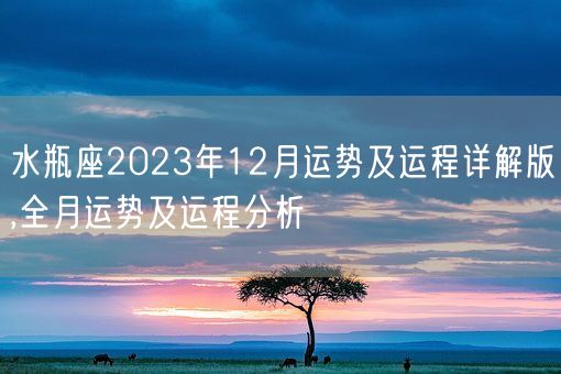 水瓶座2023年12月运势及运程详解版,全月运势及运程分析(图1)