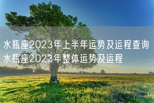 水瓶座2023年上半年运势及运程查询 水瓶座2023年整体运势及运程(图1)