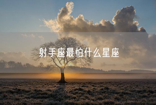 射手座最怕什么星座(图1)