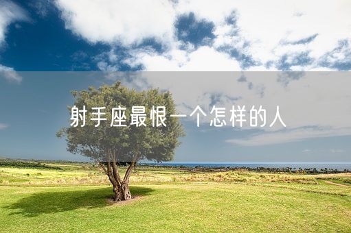 射手座最恨一个怎样的人(图1)