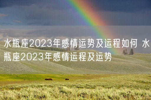 水瓶座2023年感情运势及运程如何 水瓶座2023年感情运程及运势(图1)