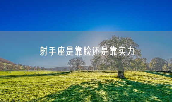 射手座是靠脸还是靠实力(图1)