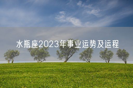 水瓶座2023年事业运势及运程(图1)