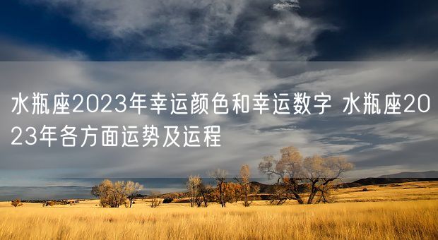 水瓶座2023年幸运颜色和幸运数字 水瓶座2023年各方面运势及运程(图1)