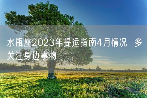 水瓶座2023年提运指南4月情况  多关注身边事物(图1)