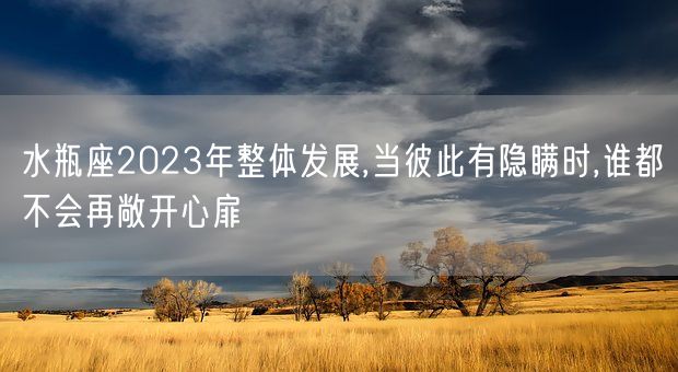 水瓶座2023年整体发展,当彼此有隐瞒时,谁都不会再敞开心扉(图1)