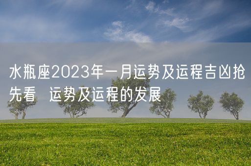 水瓶座2023年一月运势及运程吉凶抢先看  运势及运程的发展(图1)