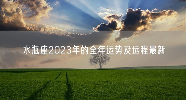 水瓶座2023年的全年运势及运程最新(图1)