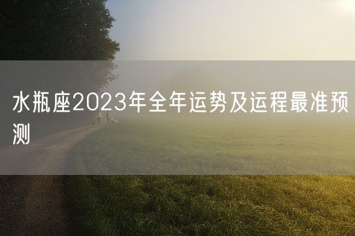 水瓶座2023年全年运势及运程最准预测(图1)