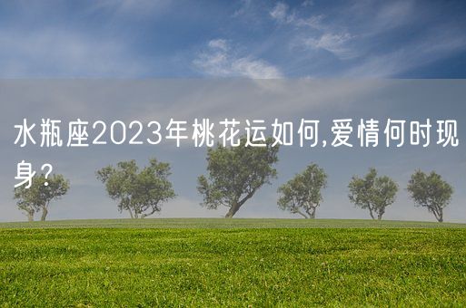 水瓶座2023年桃花运如何,爱情何时现身？(图1)