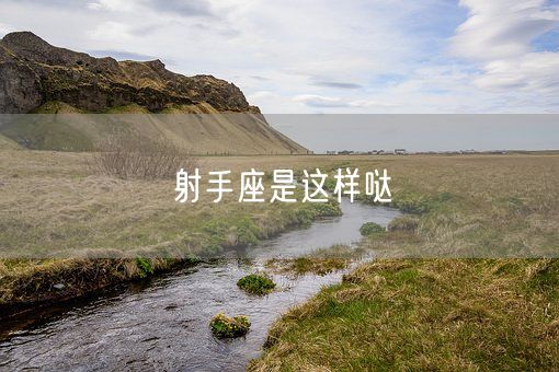 射手座是这样哒(图1)